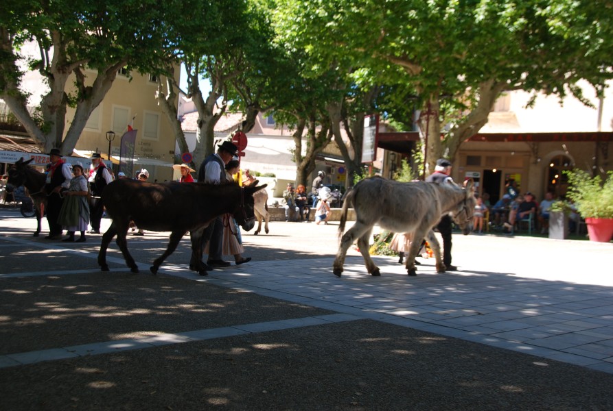 Recampado_danses_2024_64.jpg