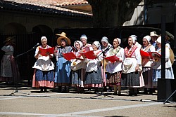Recampado_danses_2024_26.jpg