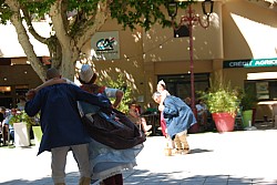 Recampado_danses_2024_55.jpg