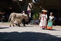 Recampado_danses_2024_65.jpg
