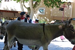 Recampado_danses_2024_66.jpg