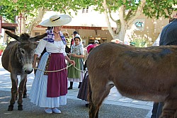 Recampado_danses_2024_68.jpg