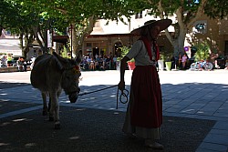 Recampado_danses_2024_70.jpg
