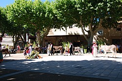 Recampado_danses_2024_72.jpg