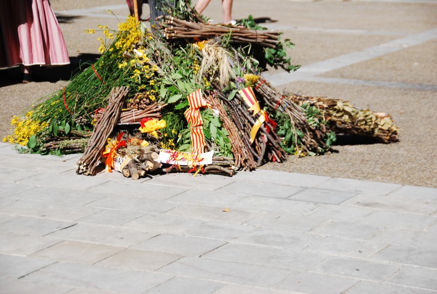 Recampado_defile_2024_36.jpg