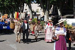 Recampado_defile_2024_13.jpg Recampado_defile_2024_13.jpg