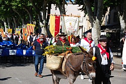 Recampado_defile_2024_15.jpg Recampado_defile_2024_15.jpg