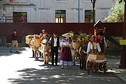Recampado_defile_2024_31.jpg Recampado_defile_2024_31.jpg