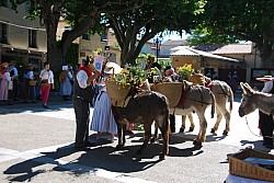 Recampado_defile_2024_32.jpg Recampado_defile_2024_32.jpg