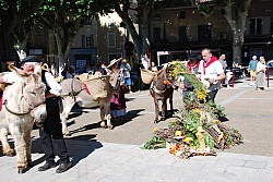 Recampado_defile_2024_33.jpg Recampado_defile_2024_33.jpg