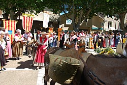 Recampado_defile_2024_94.jpg Recampado_defile_2024_94.jpg