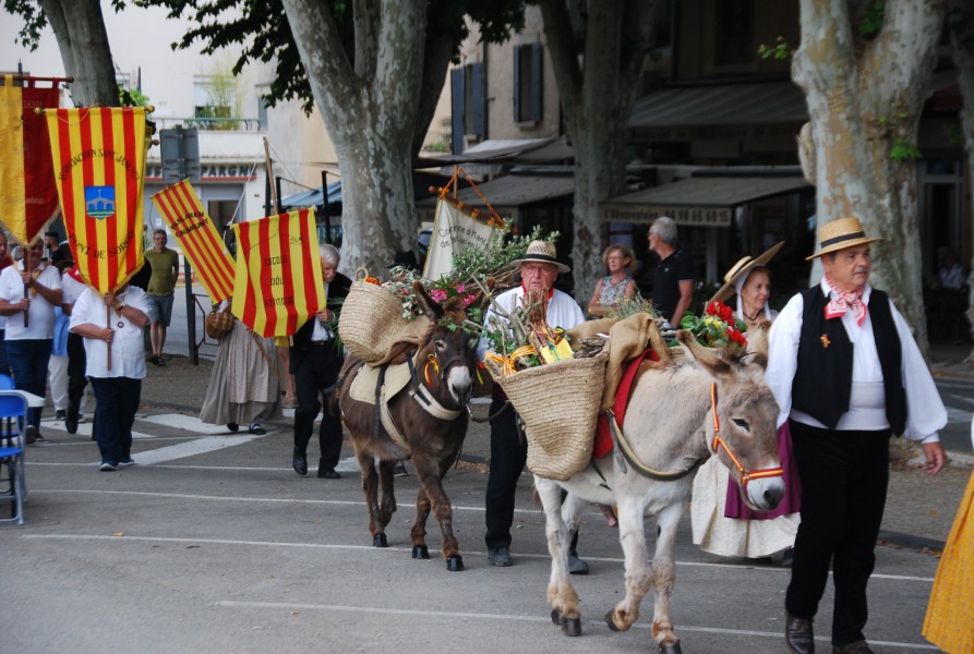 Recampado_Bedoin_2025_14.jpg