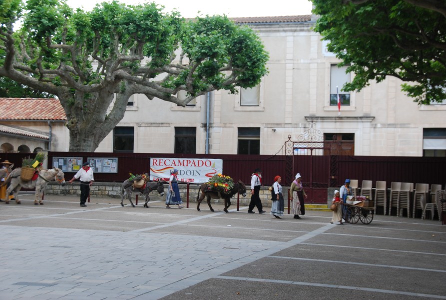 Recampado_Bedoin_2025_25.jpg