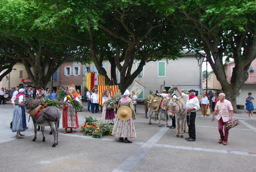 Recampado_Bedoin_2025_31.jpg