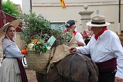 Recampado_Bedoin_2025_09.jpg Recampado_Bedoin_2025_09.jpg