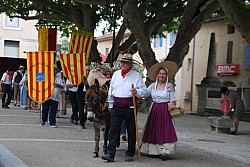 Recampado_Bedoin_2025_29.jpg Recampado_Bedoin_2025_29.jpg