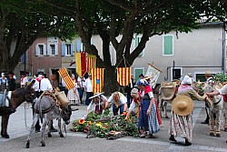 Recampado_Bedoin_2025_32.jpg Recampado_Bedoin_2025_32.jpg