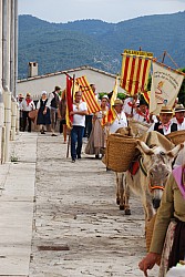Recampado_Bedoin_2025_47.jpg Recampado_Bedoin_2025_47.jpg