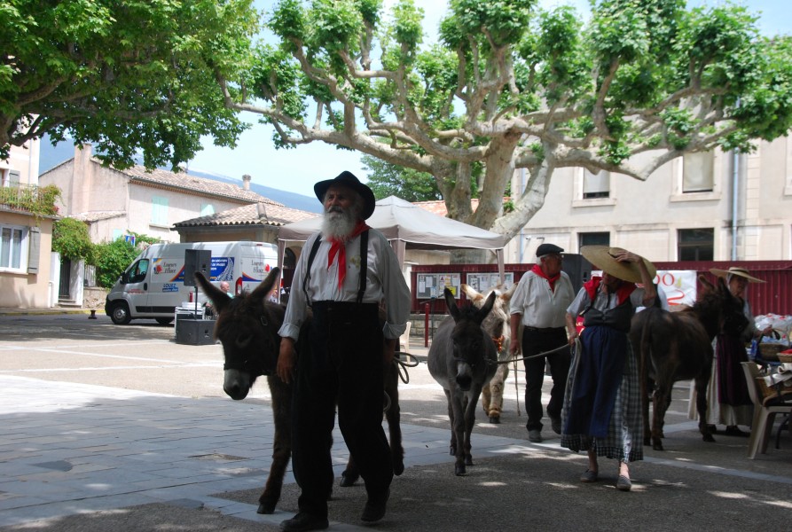 Recampado_Bedoin_2025_100.jpg