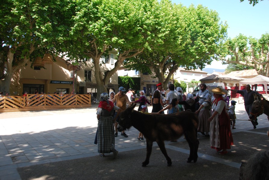 Recampado_Bedoin_2025_151.jpg