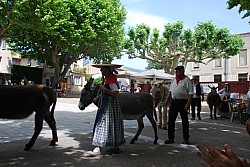 Recampado_Bedoin_2025_101.jpg Recampado_Bedoin_2025_101.jpg