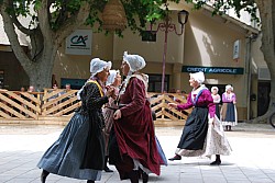 Recampado_Bedoin_2025_124.jpg Recampado_Bedoin_2025_124.jpg