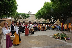 Recampado_Bedoin_2025_86.jpg Recampado_Bedoin_2025_86.jpg