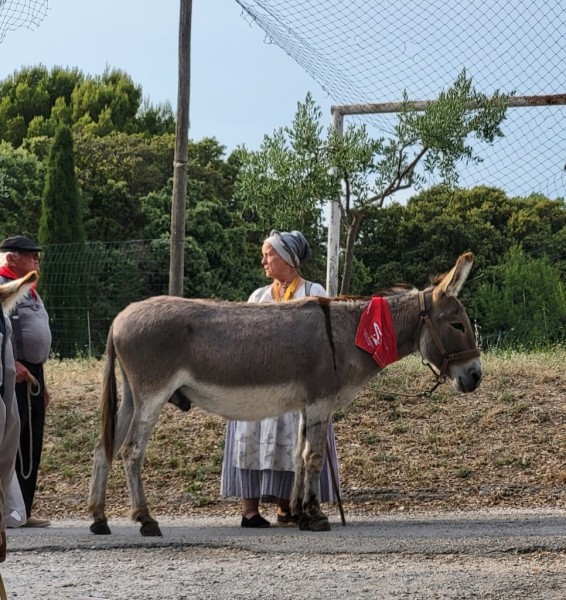 Feux de la St Jean La Roque sur Pernes 25 juin 2026 (8).jpg