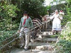 Feux de la St Jean La Roque sur Pernes 25 juin 2026 (29).jpg