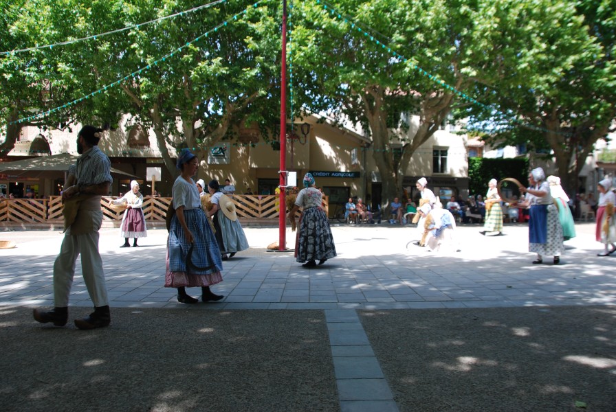 DSC_0131.jpg