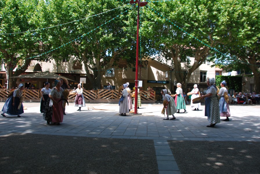 DSC_0132.jpg