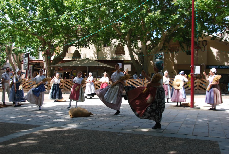 DSC_0134.jpg