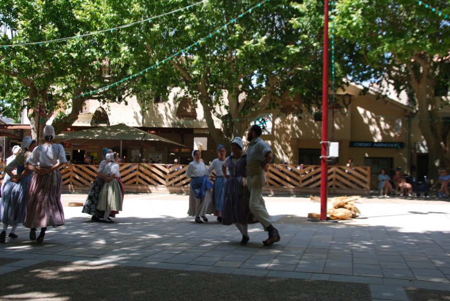 DSC_0138.jpg