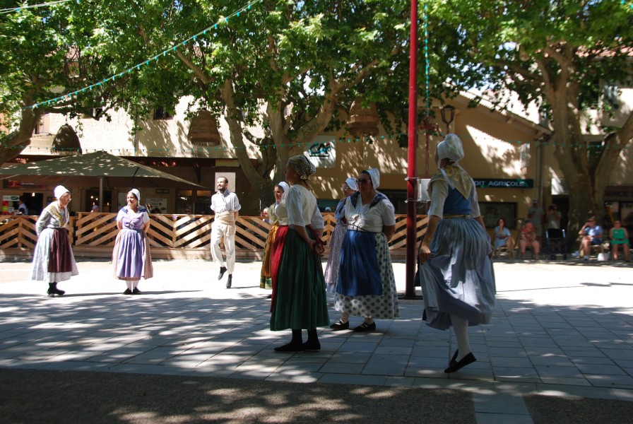 DSC_0146.jpg