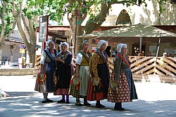 DSC_0113.jpg