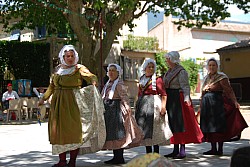 DSC_0114.jpg