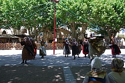 DSC_0116.jpg