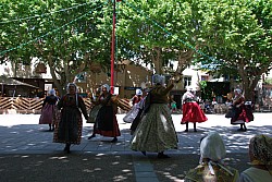 DSC_0117.jpg