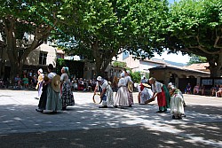 DSC_0130.jpg