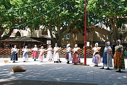DSC_0133.jpg