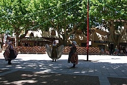 DSC_0139.jpg