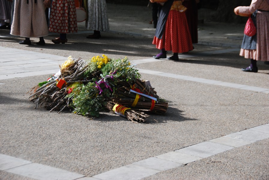 Recampado  defile 2026_28.jpg