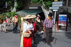 Recampado defile 2026_10.jpg Recampado defile 2026_10.jpg