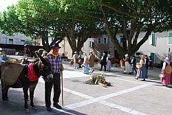 Recampado defile 2026_27.jpg Recampado defile 2026_27.jpg