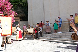 Recampado defile 2026_49.jpg Recampado defile 2026_49.jpg