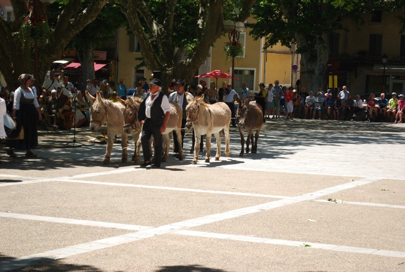 recampado_Bedoin_danses_2019_06.jpg