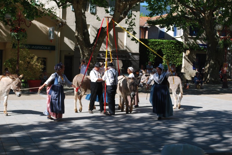 recampado_Bedoin_danses_2019_107.jpg