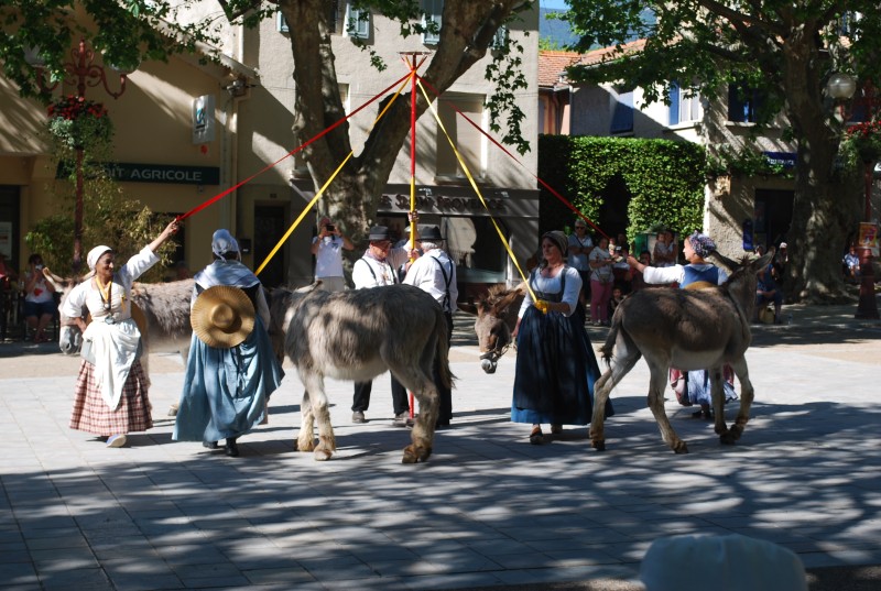 recampado_Bedoin_danses_2019_108.jpg