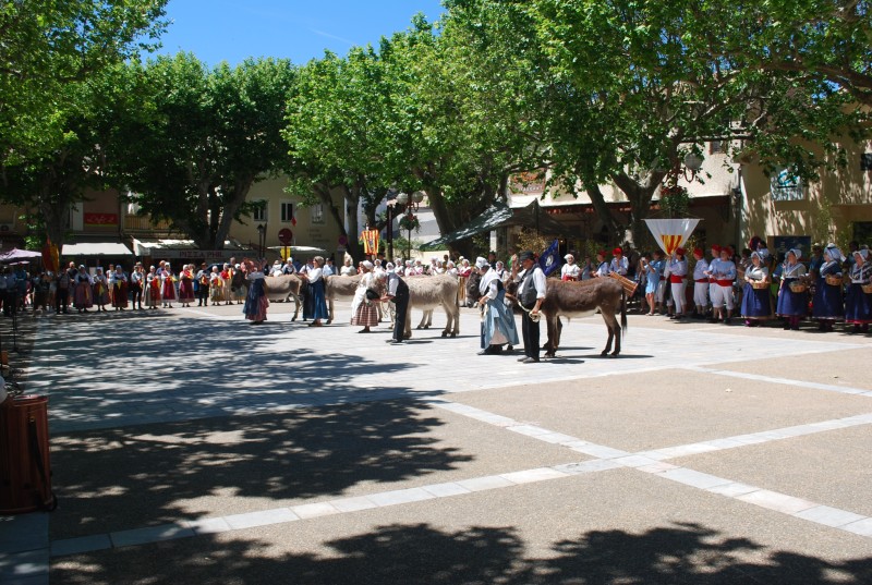 recampado_Bedoin_danses_2019_15.jpg