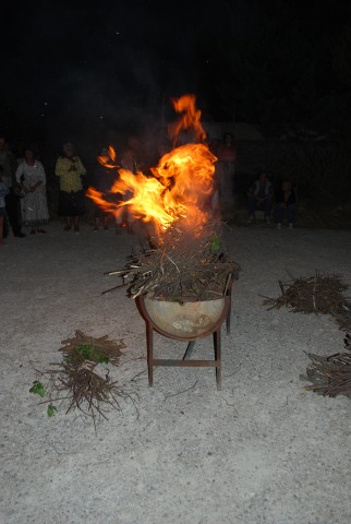 DSC_0338.jpg